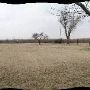 O'Brien Farm