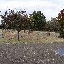 Gracelawn Cemetery