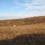 Hughes Ranch