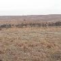 Hughes Ranch