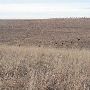 Hughes Ranch