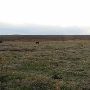 Hughes Ranch