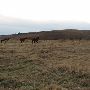 Hughes Ranch