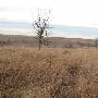 Hughes Ranch