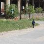 Bricktown Industrial
