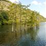 Beavers Bend & Hochatown State Park Lodge