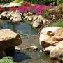 Linnaeus Garden