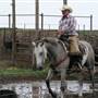 Maple YL Ranch