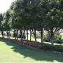 Gaillardia Country Club