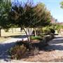 Centennial Park