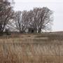 Nightmare in the Country - Kenton Ranch