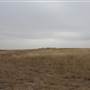 Woodward - Energy Field
