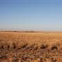 McBee Ranch
