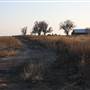 McBee Ranch