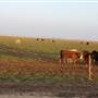 Hwy 412/36 - Guymon Area