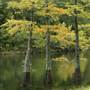 Beavers Bend & Hochatown State Park Lodge