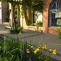 Paseo District and Neighborhood
