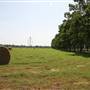 NFL Farms