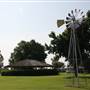 NFL Farms