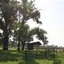 NFL Farms
