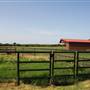 NFL Farms
