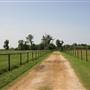 NFL Farms