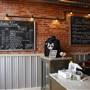 Iron Tree Coffee