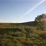 Hughes Ranch