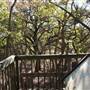 Martin Nature Park
