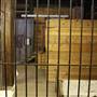 Simpson's Old Time Museum and Skeleton Creek Productions
