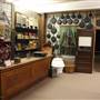 Simpson's Old Time Museum and Skeleton Creek Productions