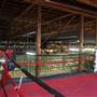 Western Avenue Boxing Gym