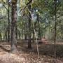 Camp DaKaNi