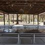 Camp Y'shua
