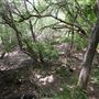Stinchcomb Wildlife Refuge