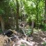 Stinchcomb Wildlife Refuge