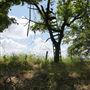 Stinchcomb Wildlife Refuge