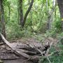 Stinchcomb Wildlife Refuge