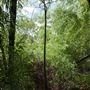 Stinchcomb Wildlife Refuge