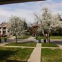 Mesta Park Historical Home