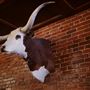 McClintock Saloon