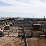 Oklahoma National Stockyard Exchange