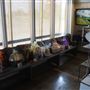 The Iron Horse Gallery and Gifts