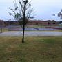 Dixon Durant Park