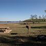 Picnic Area Sequoyah State Park