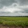 N 97th E Ave Landscape