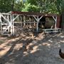 Blose Barn and Garden