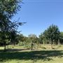 Blose Barn and Garden