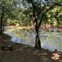 Blose Barn and Garden