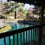 Lendonwood Gardens